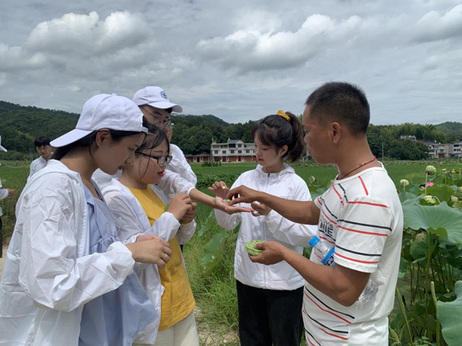 隊(duì)員參觀蓮子生產(chǎn)基地。福建船政交通職業(yè)學(xué)院供圖